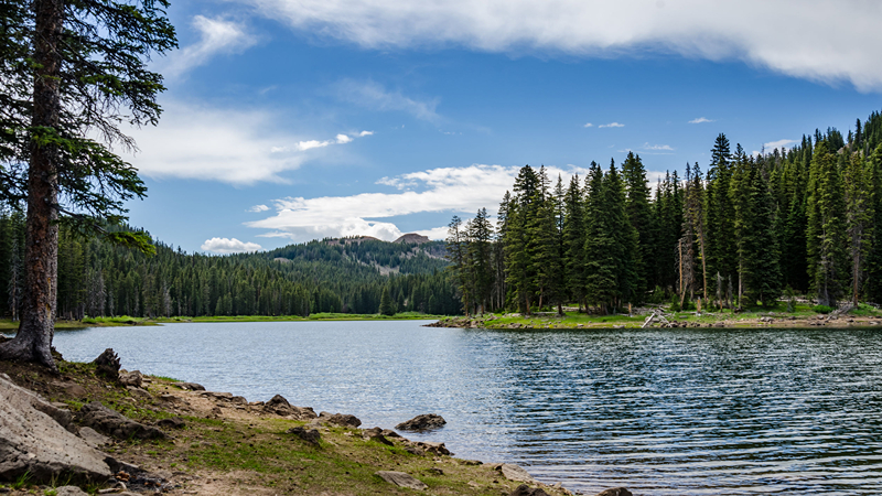 Beautiful scenery and clear waters at Beaver Lake